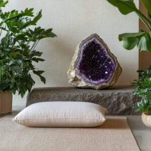 Amethyst geode with plants